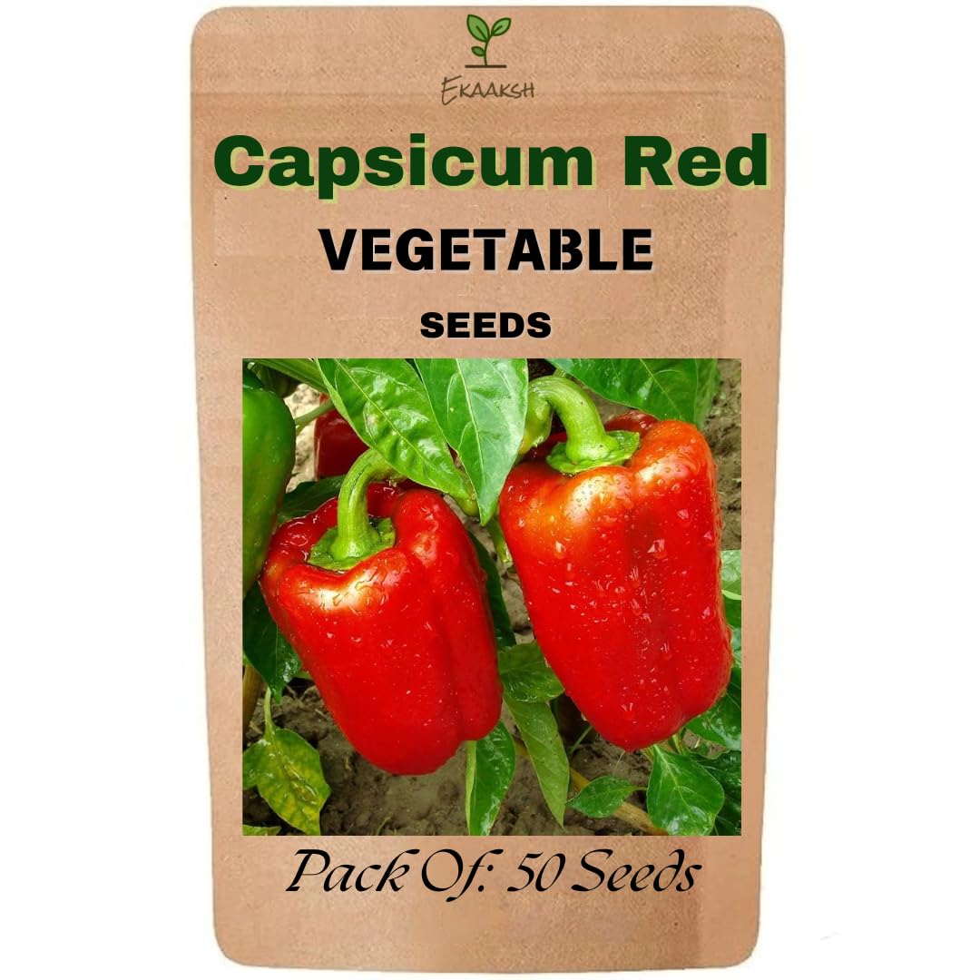 Ekaaksh - Capsicum Red Seeds + Free Seed Germination Paper + Planting Guide - New Seeds with Test Result - Best for Pots, Terrace & Kitchen Gardening-image-19