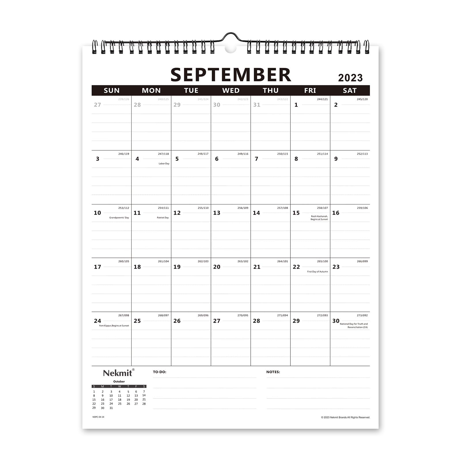 Buy Nekmit Academic Yearly Monthly Wall , Wirebound for Home Schooling