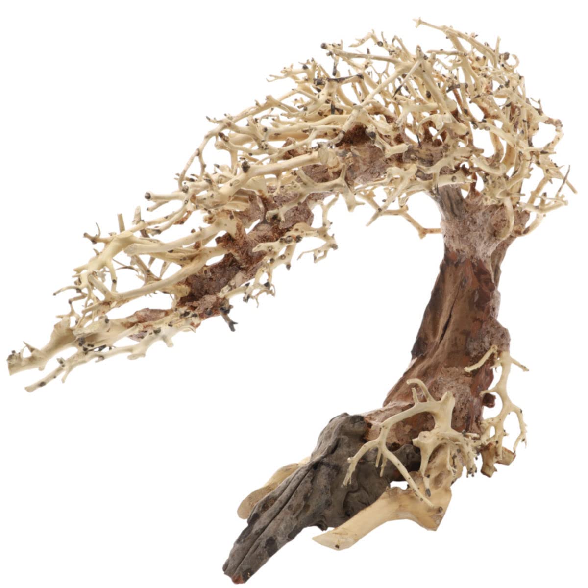 Dupla Root Crooked L, 40 x 20 x 30 cm, raíz hecha a mano para acuarios