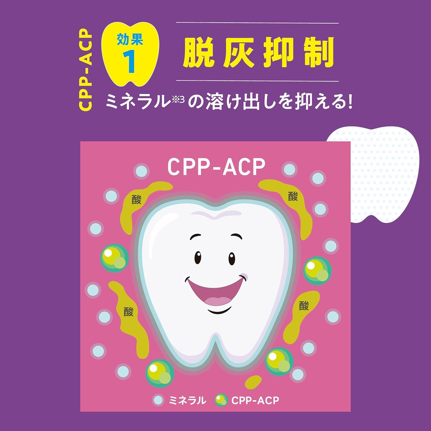 Amazon.co.jp: モンデリーズ リカルデントさっぱりミントボトル 135.2g