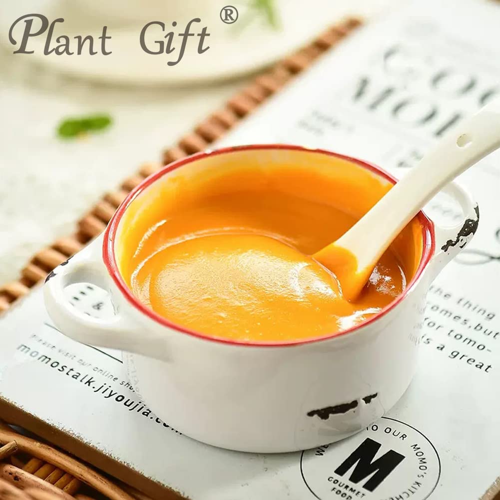 Plant Gift 100% Pure Pumpkin Powder 南瓜粉 Pasto naturale in polvere, ottimo sapore per bevande, frullato, yogurt, cottura, biscotti, torte e bevande, polvere non OGm 100G/3.25oz