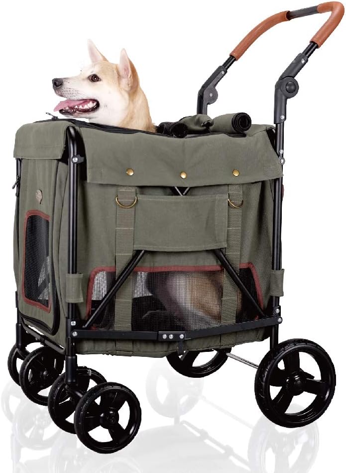dog buggy