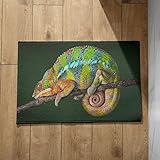 Photo Gallery chenlane zerbino ingresso divertente tappeto esterno doccia antiscivolo camaleonte casa cucina offerta 40x60cm Photo Gallery chenlane zerbino ingresso divertente tappeto esterno doccia antiscivolo camaleonte casa cucina offerta 40x60cm