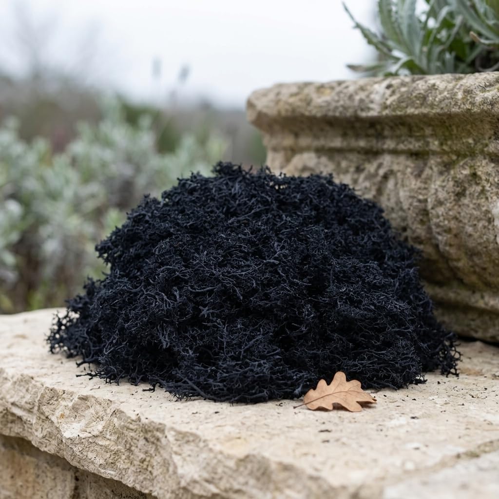 Black Fake Moss 3.5 OZ Realistic Floral Moss for Indoor Crafts