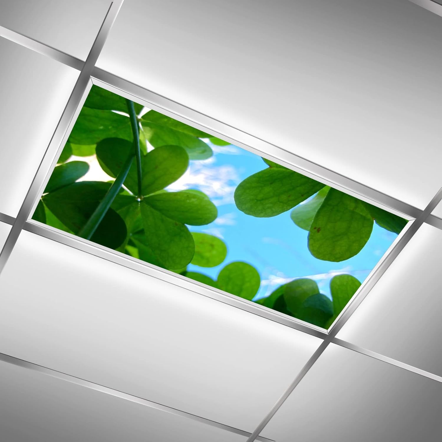 Fluorescent Light Covers for Classroom Office Eliminate