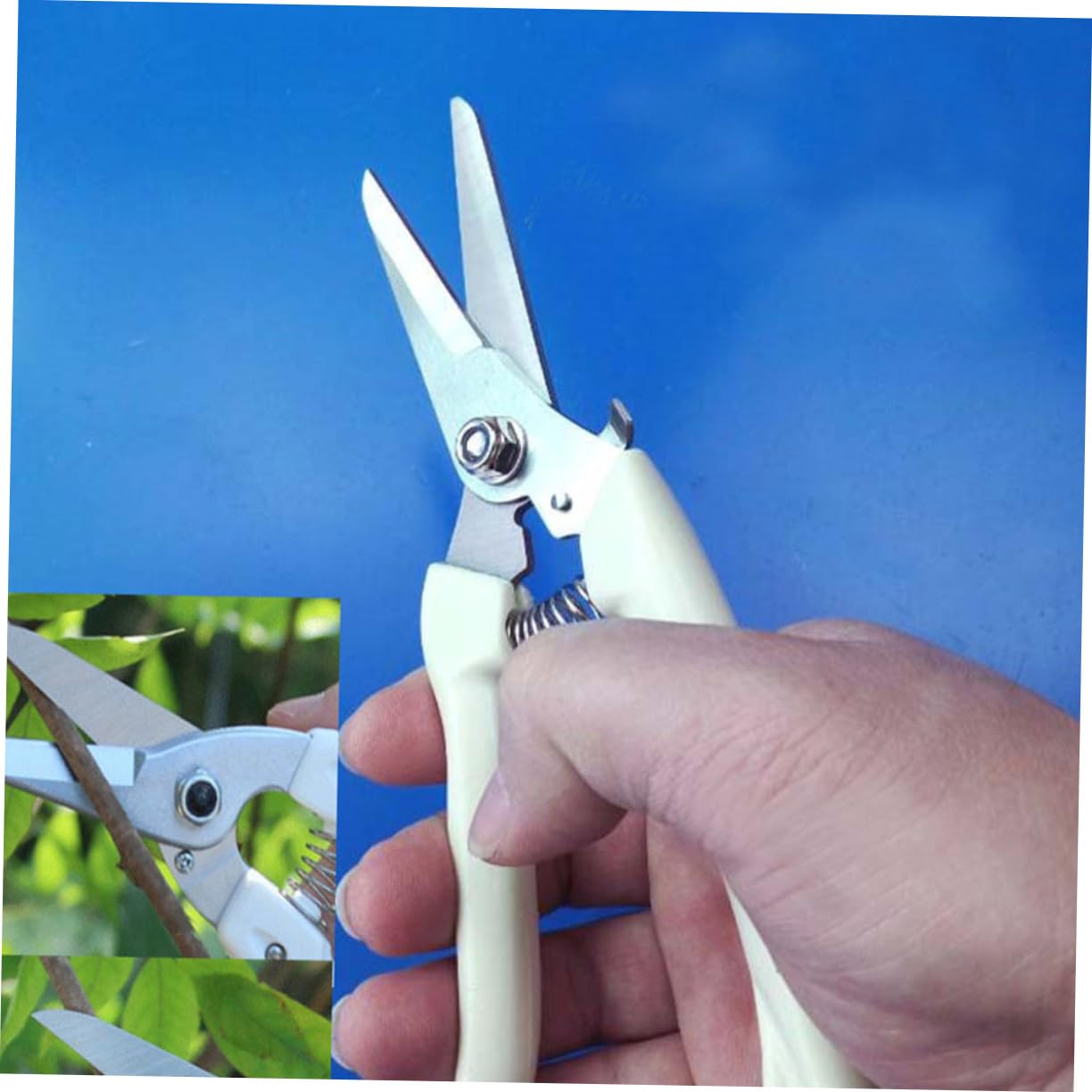 Abaodam 2 Sätze Gartenschere Handschneider Buschschere Pflanzenschneider Gartengeräte Zum Jäten Astschere Handscheren Für Die Gartenarbeit Astschneider Rostfreier Beige 2 Stück * 2