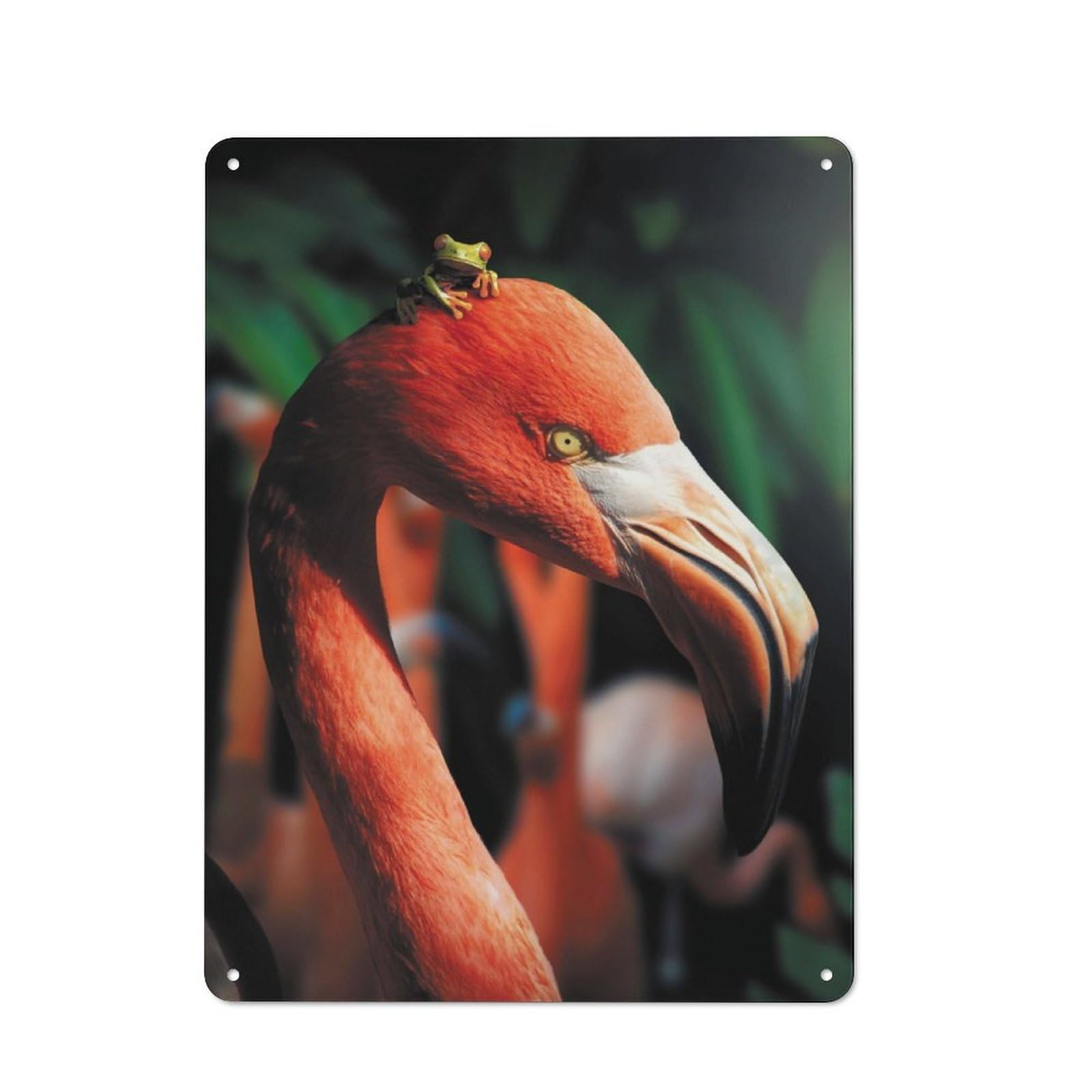 Junmoney The Frogmingo Decorative Metal Sign 40X30cm, Creative Studio Wall Plaque For Hobby Room, Office, Lounge Or Living Room