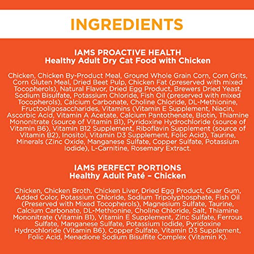 Iams Proactive Health Healthy Adult Dry Cat Food and Grain Free Paté Wet Cat Food, Chicken Recipes - Image 3
