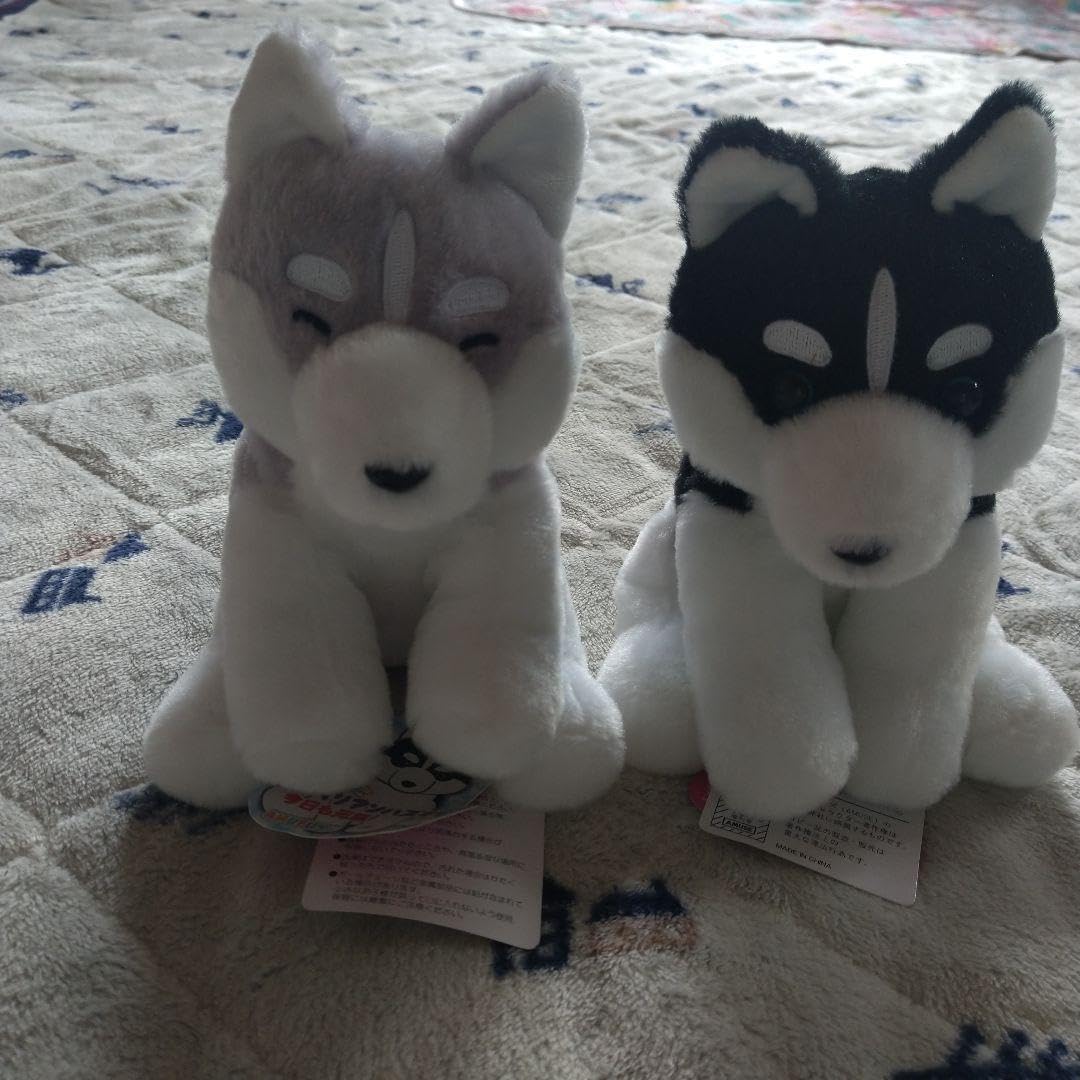 REGALO シベリアンハスキー ぬいぐるみ 2匹セット Amazon.co.jp: くったりシベリアンハスキー 犬 ぬいぐるみ 二匹セット
