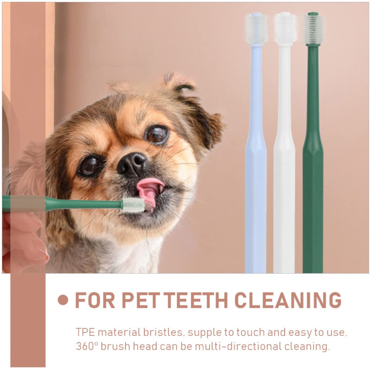 Sosoport 12pièces Brosse à Dents Manuelle Pour Animaux De Compagnie Avec Manche Brosse à Dents Pratique Pour Chats Et Chiens Nettoyage Buccal