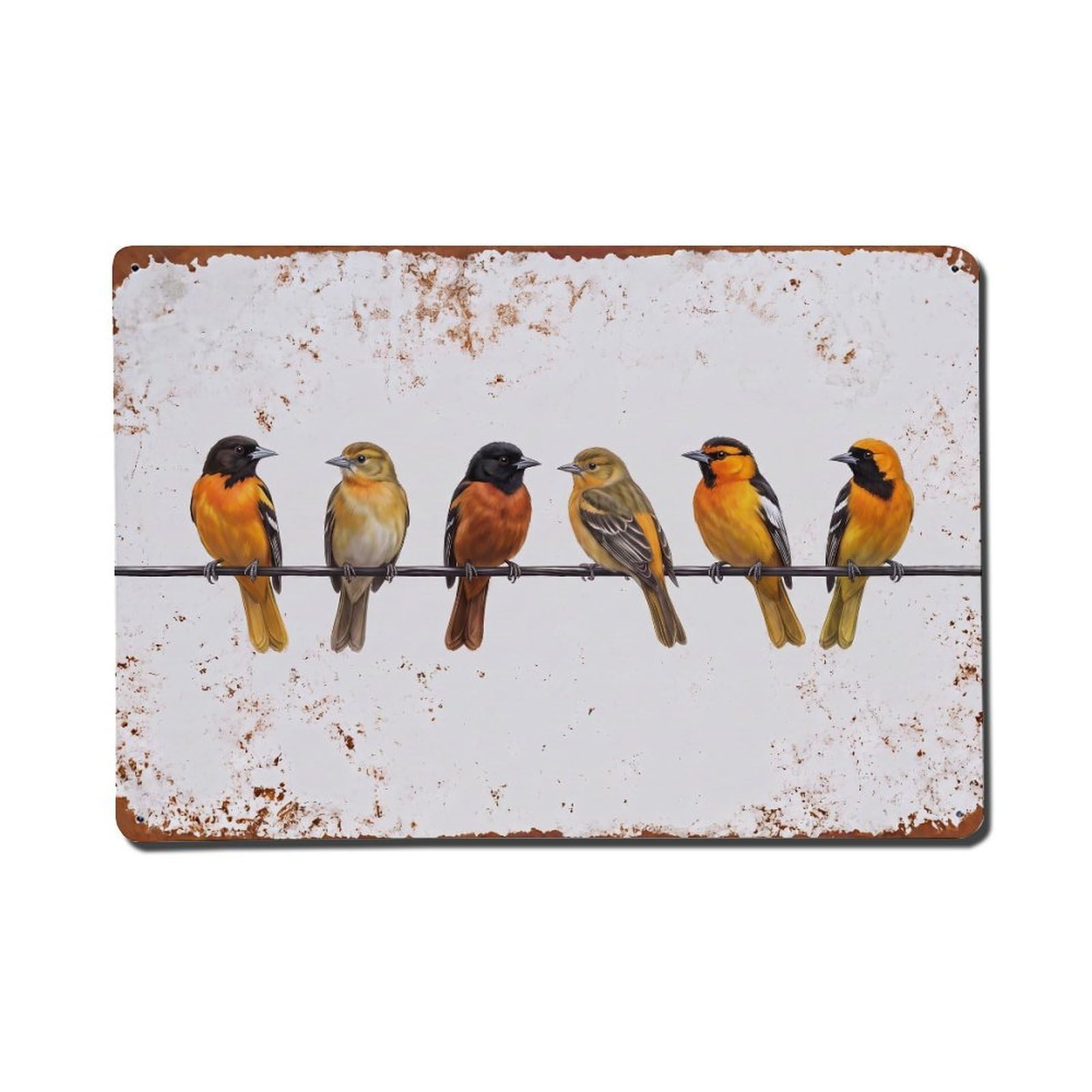 Vintage Retro Birds Oriole Metal Tin Sign
