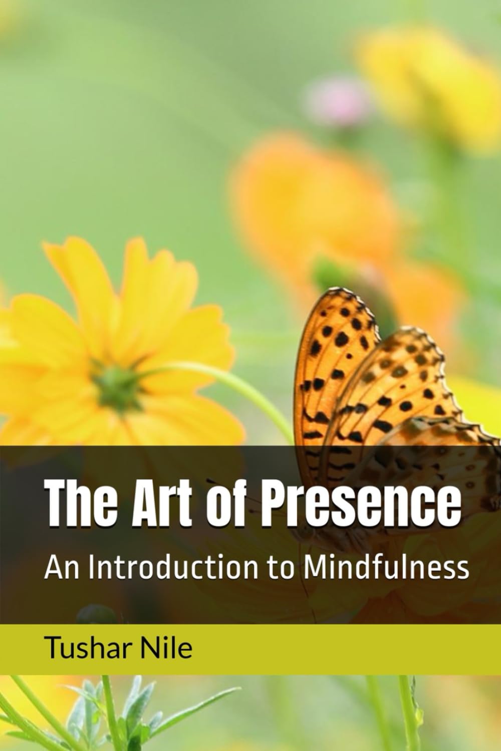 The Art Of Presence: An Introduction to Mindfulness