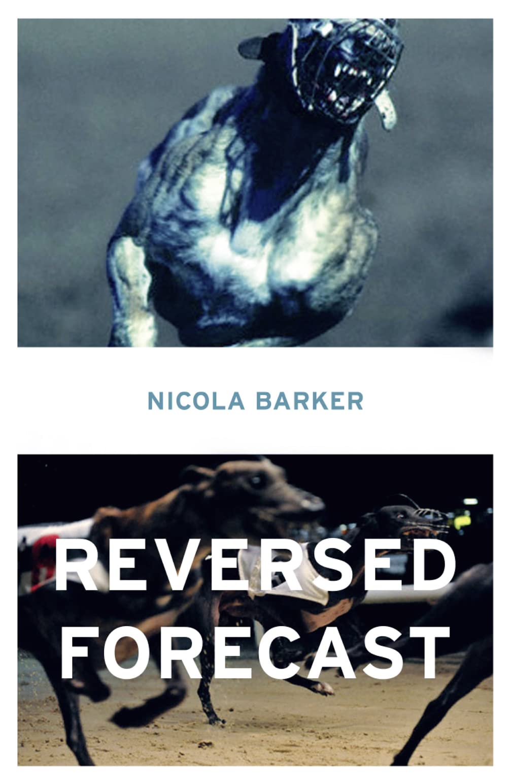Reversed Forecast: A Brilliantly Unconventional Women's Fiction Novel Set in London