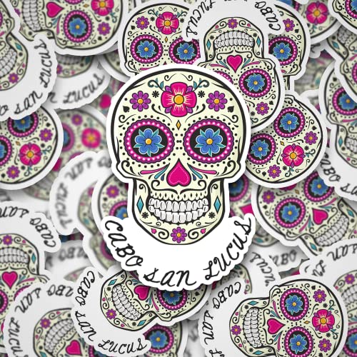 Image of imakestickerz.com Cabo San Lucas Mexico Travel Baja California Los Cabos Souvenir Gift Vinyl Decal Sticker for Laptop, Water Bottle, Car, Truck, Purple, Black, Yellow, Green, Blue, 3''x2''
