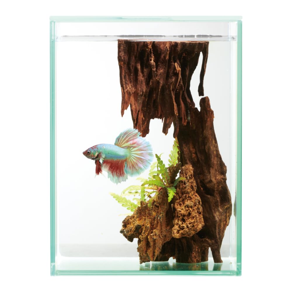 Amazon | GEX AQUARIUM グラステリアフィット ベタ 150 ガラスフタ