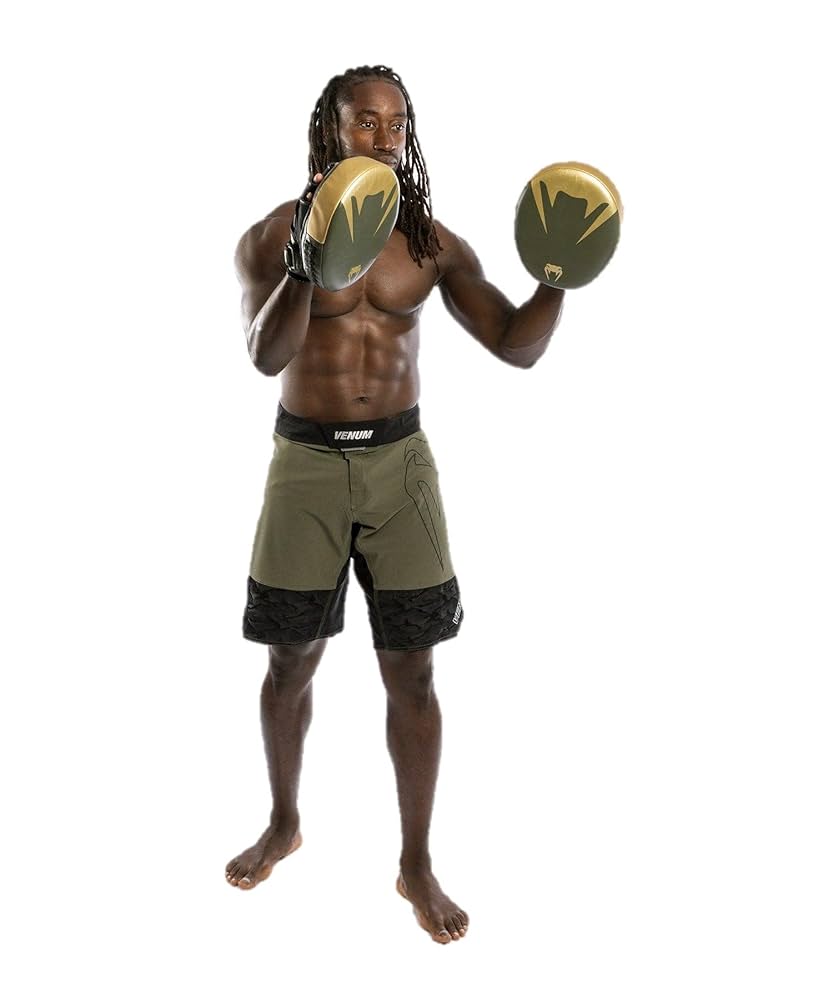 VENUMパンチングミット VENUMパンチングミット Venum（ヴェナム),パンチングミット