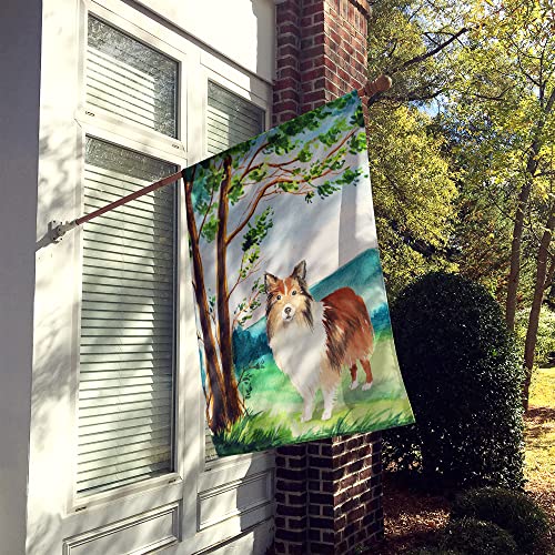 Drapeau Sheltie de grande taille imprimé sur toile décorative Caroline's Treasures