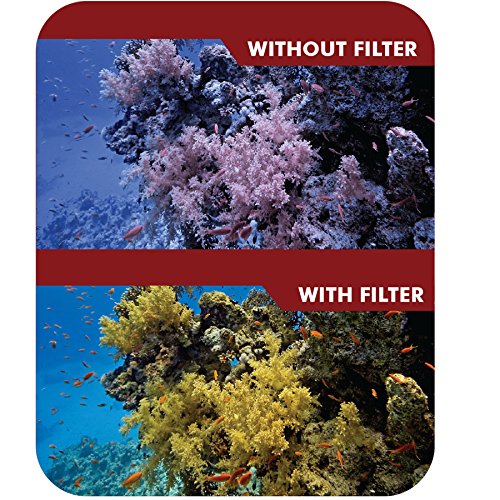 4Pc Filter Kit For Gopro Hero 3 Large Dive Case. Filters Come W/ Soft Case. Red, Purple, Pink And Gray Colors. Scuba Green Water, Scuba Tropical Water, Nd & Warming Filters & An Ecostconnection Microfiber Cloth #TOP6