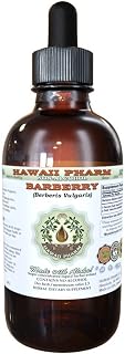 Barberry Alcohol-Free Liquid Extract, Organic Barberry (Berberis Vulgaris) Dried Root Bark Glycerite 4 oz