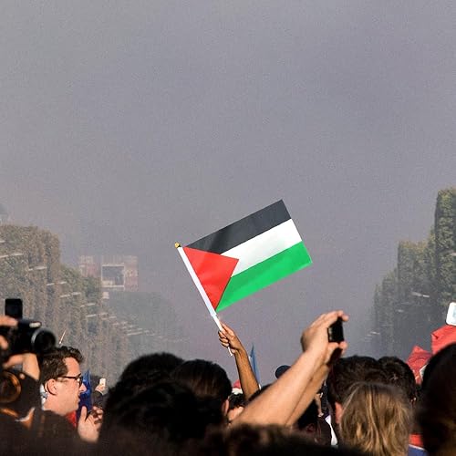 Miniatura 7 de 5 banderas palestinas de palestina pequeñas banderas palestinas de mano pequeñas banderas de Palestina en soporte de palestina, bandera ondeadora de