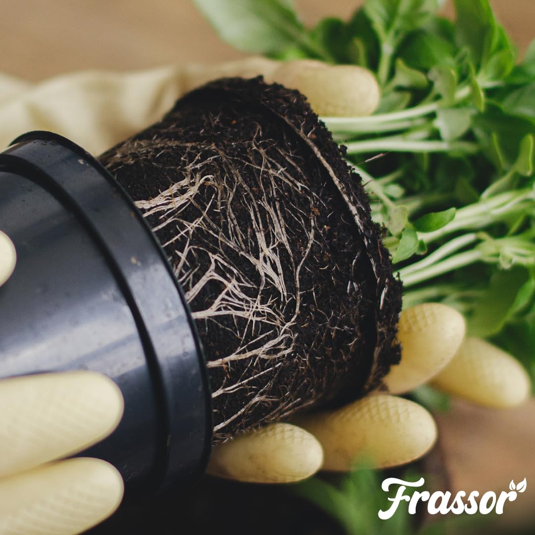 Concentré Équilibre Racinaire - 1L = 1000m² | Stimulateur Racinaire - Renforce Racines Et Absorption Des Nutriments - Frassor