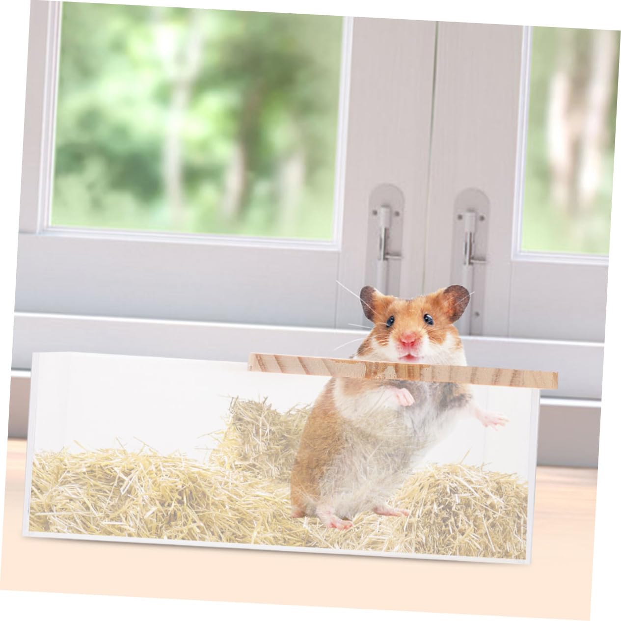 2 Stück Transparenter Acryl Sandkasten für Kleintiere Verschleißfest und Leicht für Hamster und Meerschweinchen im Haushalt