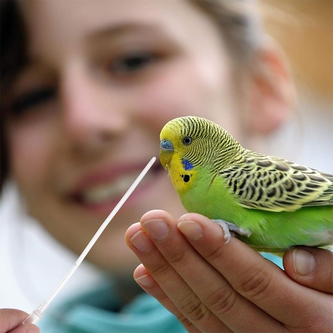 10 Pz Alimentatore Pappagalli, Inclusa 1 Siringa da 10 ml, Uccelli Alimentazione Tubi Veloce Alimentazione Tubo per Bambino Pet Uccelli