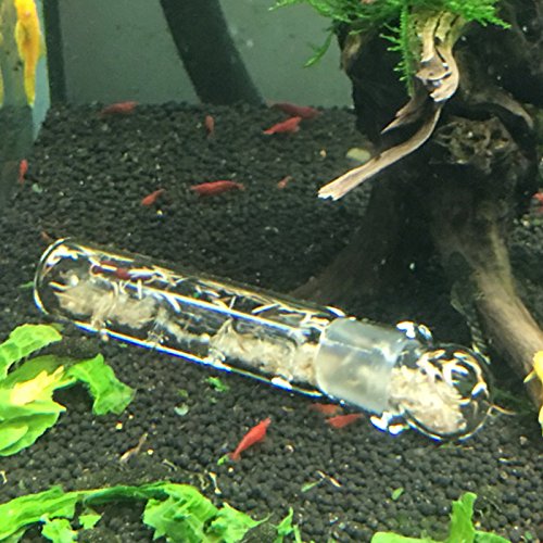 SENZEAL Trappola Planaria in Vetro Trasparente e Trappola per Lumaca Trappola per Vermi Acquario per Acquario Gamberetti Acquario (3 Fori Planarie Trap) - Image 5