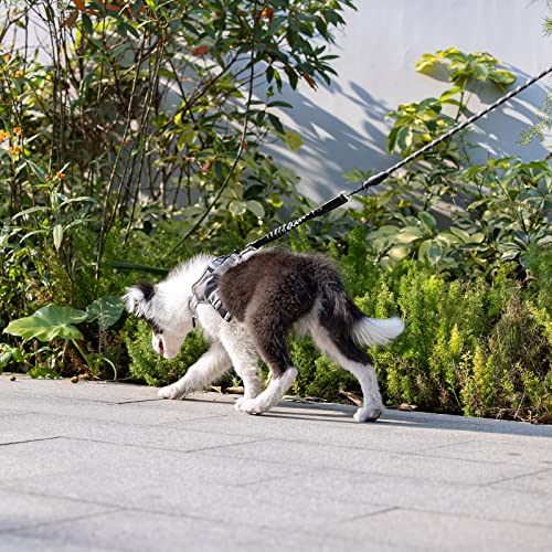 Yangbaga Ruckdämpfer,hundefreundliche Leine, elastische Hunde Leine mit Zugdämpfung, Nylon-Kurzleine Perfekte Dämpfung beim Fahrrad für Hunde ab Kleiner Größe Schwarz (2 * 26cm)