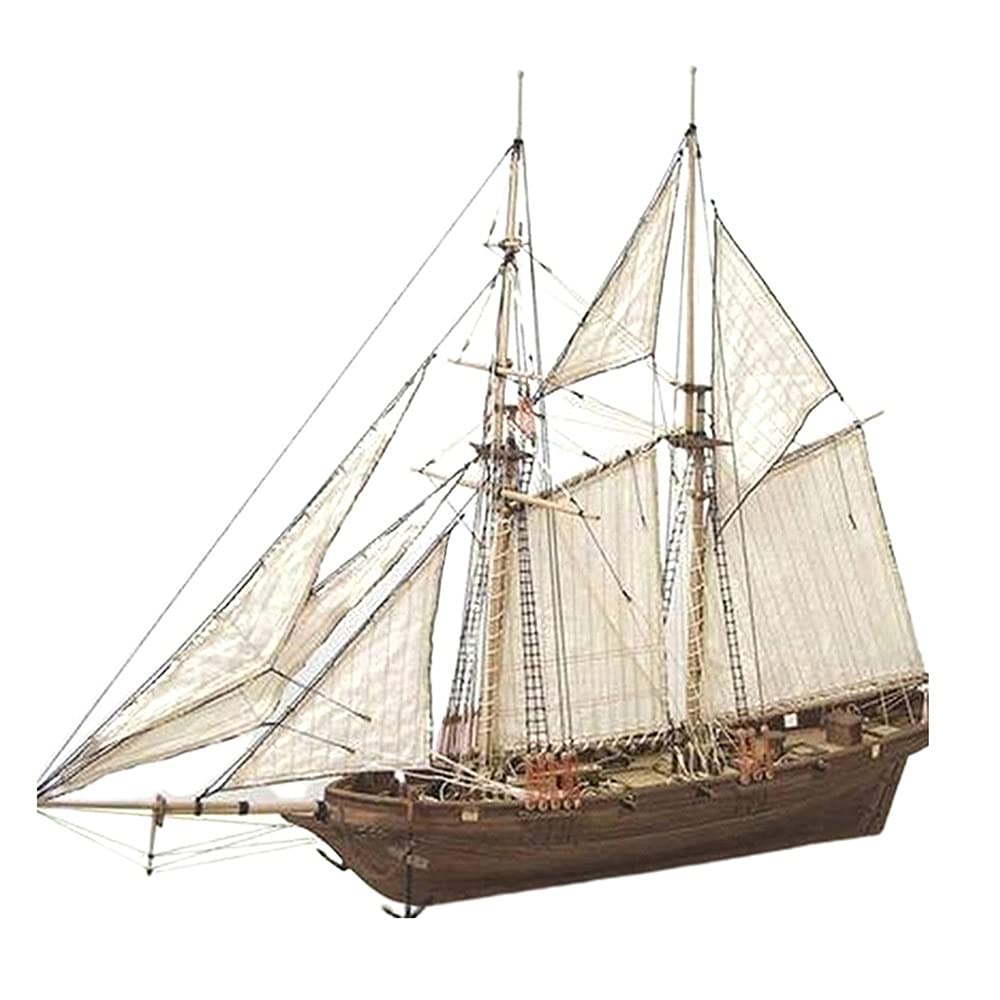 Amazon.com: Lllunimon 1/100 Halcon Wooden Sailing Boat Model DIY