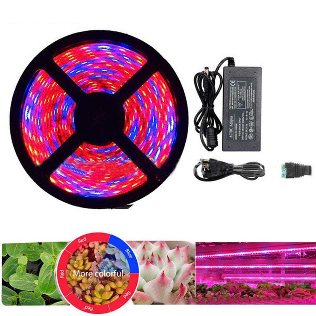 Buy SOWUNO 16.4ft Strip Tape Light Waterproof Color Changing LED Light