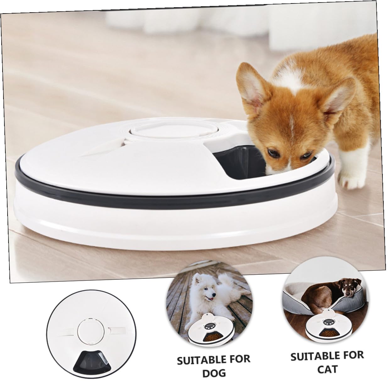 Distributore Automatico Cibo Cani Timer 6 Pasti 90g Abs Nero