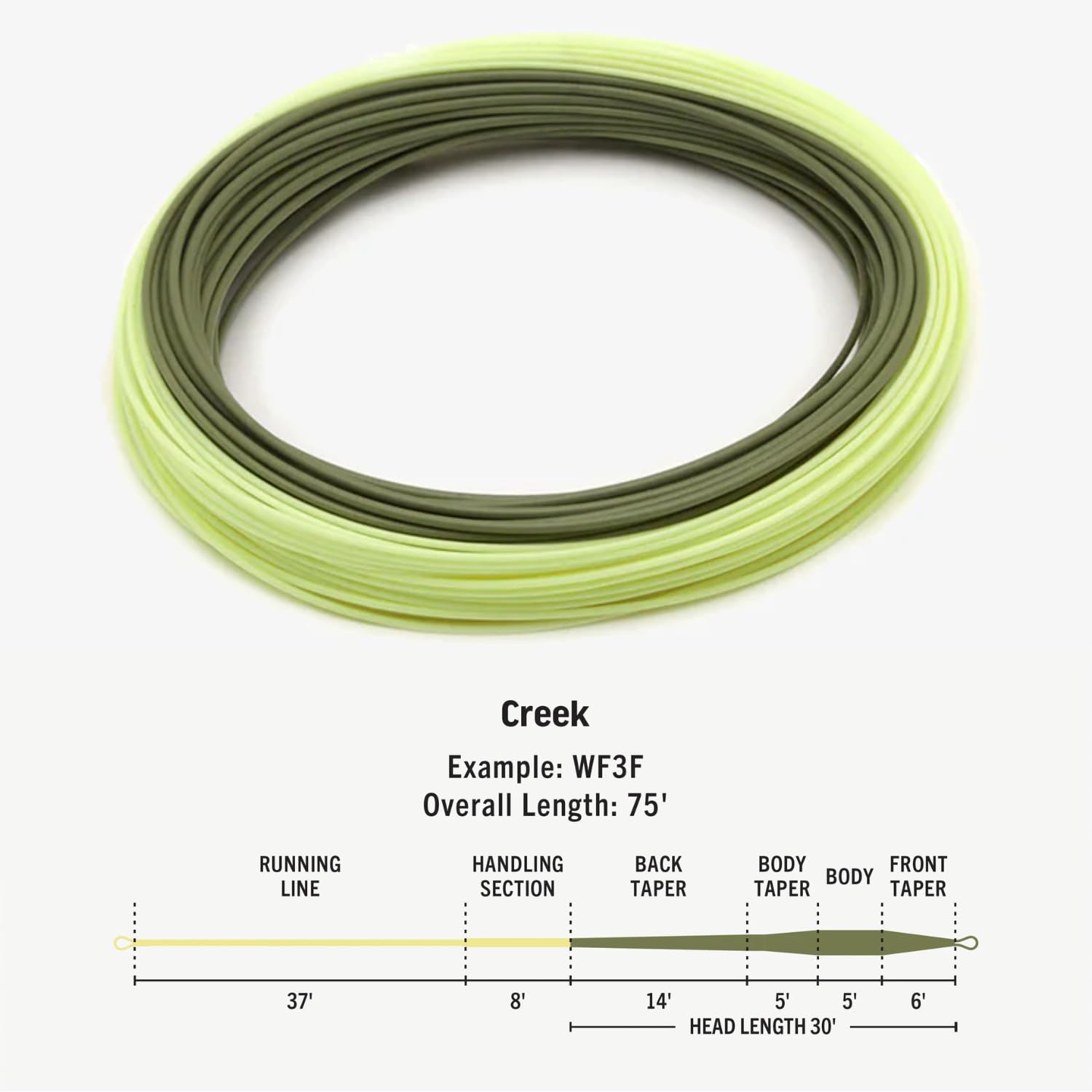 Amazon.com: RIO Products Premier Creek Fly Fishing Line, Accurate