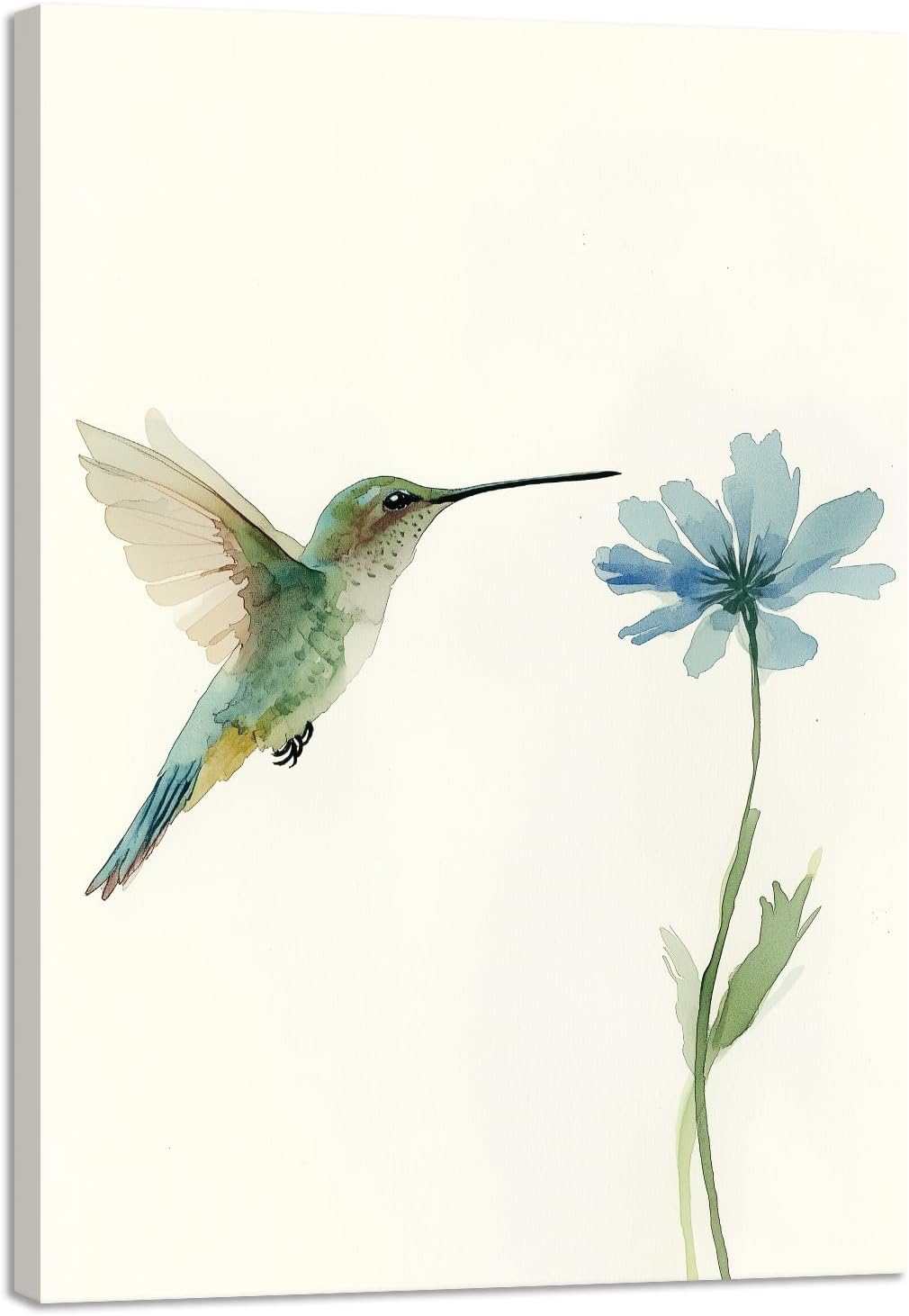 CCKOPPI Bird Canvas Wall Art - Watercolor Hummingbird Plant Picture Print Poster Natural Bird Artwork Frame for Bedroom Bathroom Living room Office Decor(Artwork-02, 20"x30")