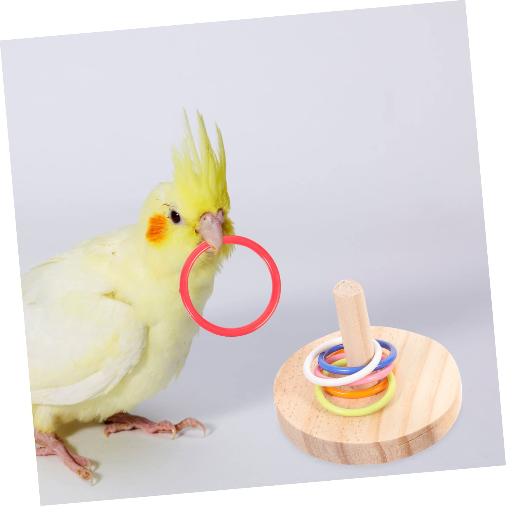 minkissy 8 Sets Papageienspielzeug Für Große Vögel Interaktives Rotierendes Sitzstangenspielzeug Vogelsittich-intelligenzspielzeug Vogel-lernspielzeug