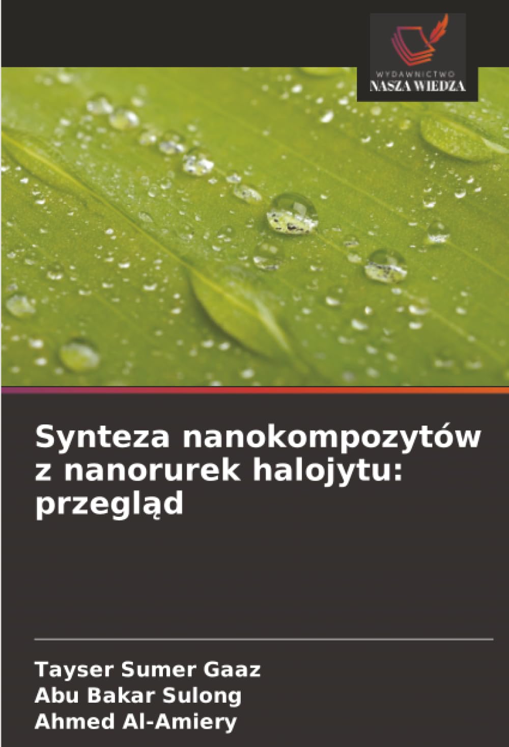 Synteza nanokompozytów z nanorurek halojytu: przegląd