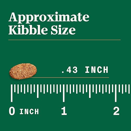 Miniatura 12 de Nutro Alimento seco para cachorros ultra alto en proteínas, trío de proteínas de pollo, cordero y salmón, bolsa de 3.5 libras