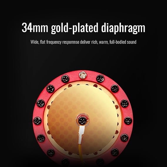 TAKSTAR SM-10 Cardioid Condenser Studio Mic with 34mm Gold Plated Diaphragm