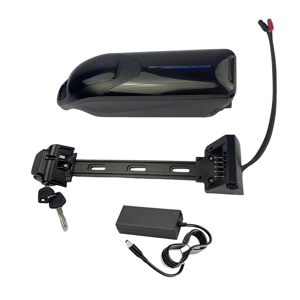 FREEDOH Eバイク用リチウムイオンバッテリー 48V 36V リチウム