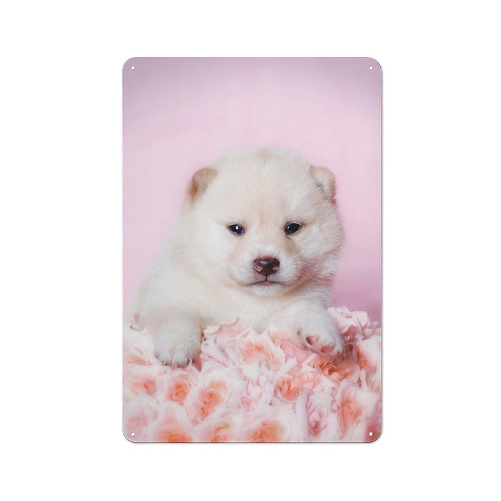 Junmoney Shiba Inu Puppy 30X20cm Retro Tin Wall Plaque With For Pub Or Café, A Winter Wall Decor Update For Café Interior Fans