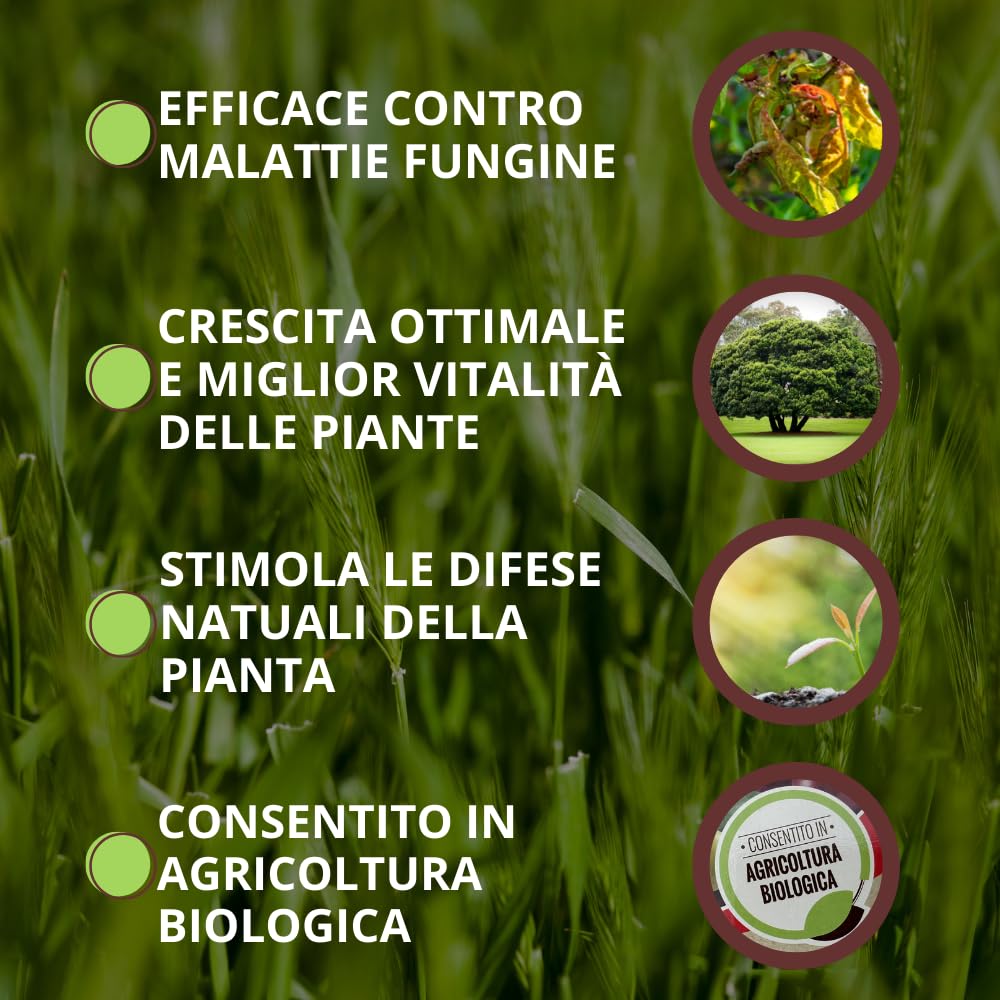 Vithal Expert Fungibio Fungicida Naturale per Tappeti Erbosi, Contro Oidio, Ruggine e Dollar Spot, Elicitorio 1 L