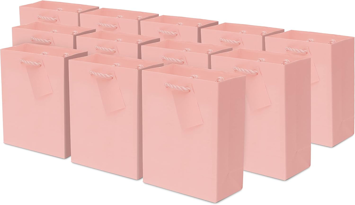 Pink Goodie Bags 12 Pack Small Gift Bags with Handles