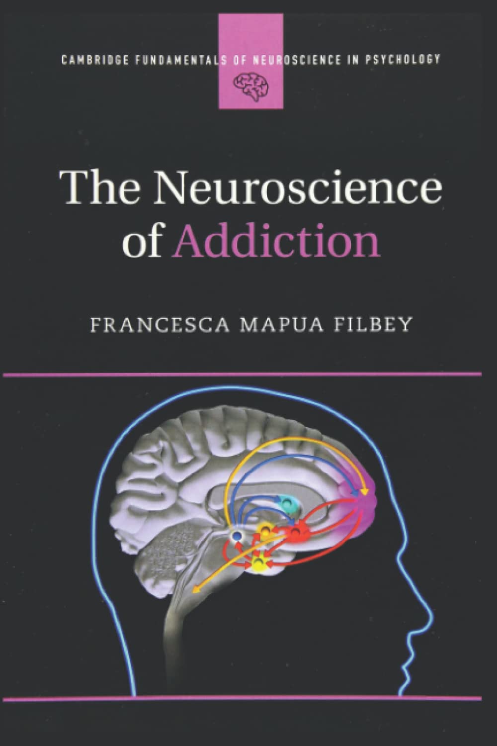 The Neuroscience of Addiction, 1st Edition, Paperback