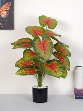 Artificial Miniature PVC Silk Photosh Floor Plant with Big Leaves with Pot (Multicolour-1)