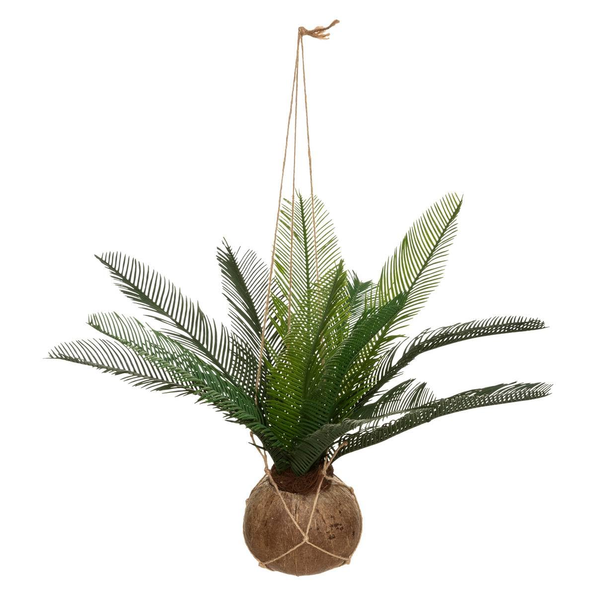 Atmosphera - Artificial Palm Tree in a Coconut Pot. Height: 50 cm