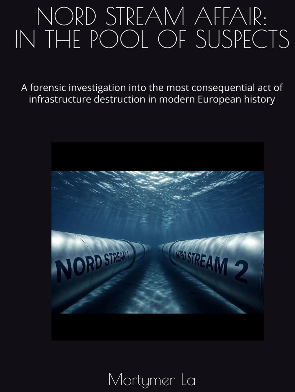 NORD STREAM AFFAIR: IN THE POOL OF SUSPECTS: A forensic investigation into the most consequential act of infrastructure destruction in modern European history