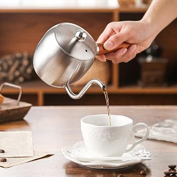 Trendy Retail Stainless Steel Gooseneck Pour Over Water Coffee Kettle for Stove Top Silver