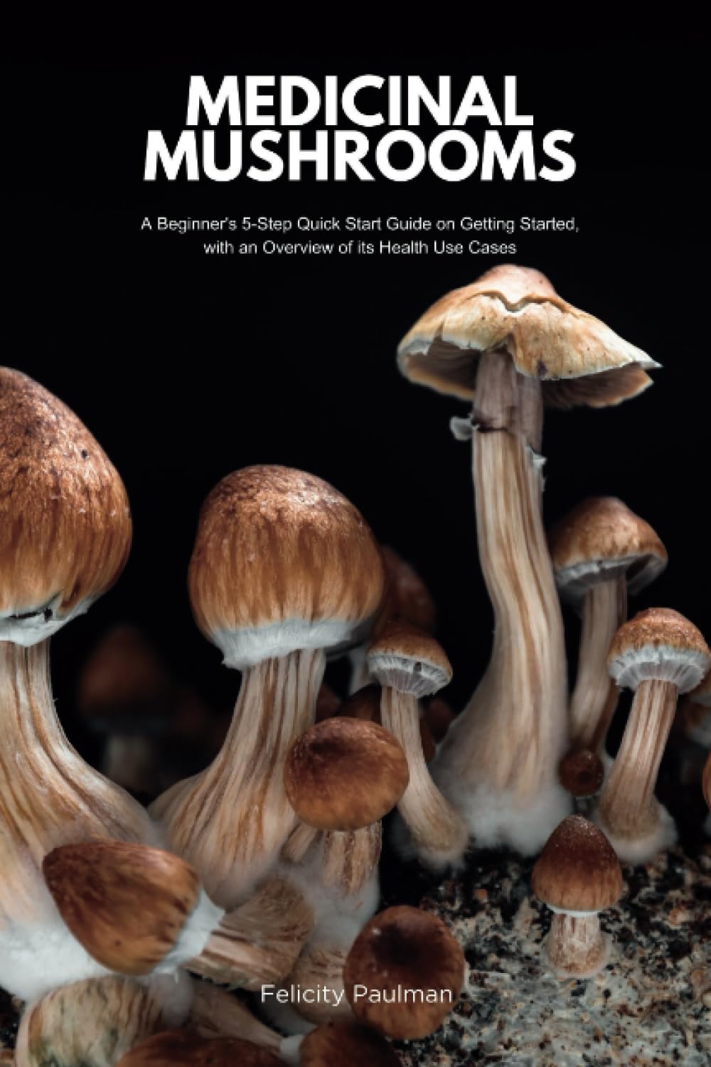 Medicinal Mushrooms: A Beginner's 5-Step Quick Start Guide on Getting Started, with an Overview of its Health Use Cases