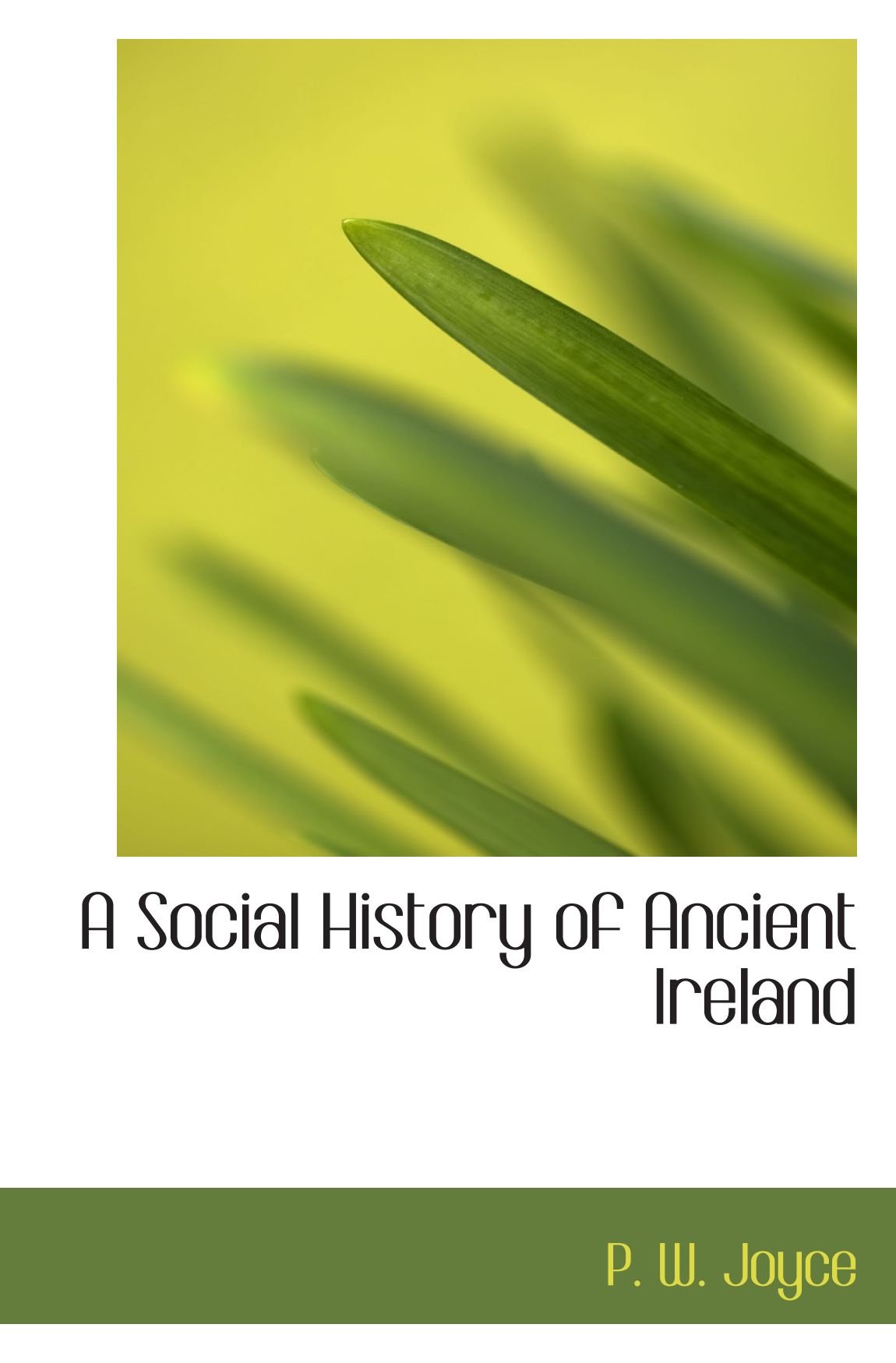 A Social History of Ancient Ireland