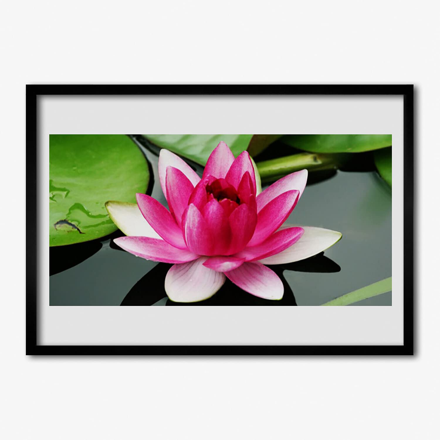 Plante de fleurs nature affiche encadrée pour décorer grand mur